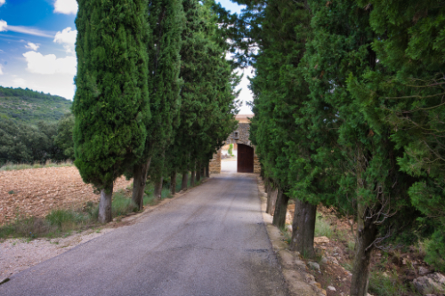 camino de entrada al monasterio de Benifassa